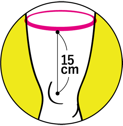 採寸位置：お皿の中心から15cm上